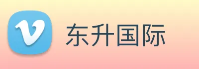 东升国际 logo